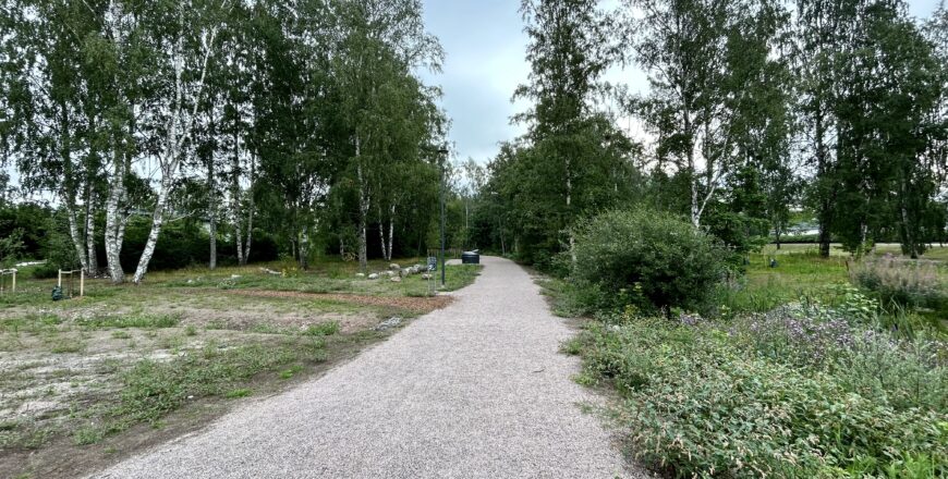 En sandig naturstig runt Nuttukuja. Det finns mycket vegetation, träd och buskar runt omkring.