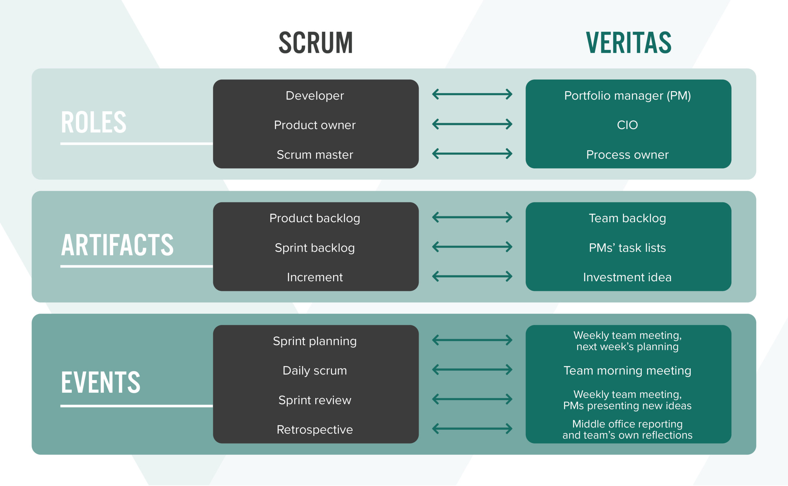Scrum roles: Developer, Product owner and Scrum master. Roles at Veritas: Portfolio manager, CIO and Process owner.